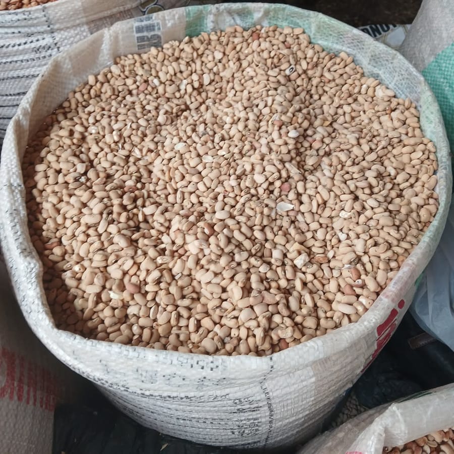 White Beans 50kg