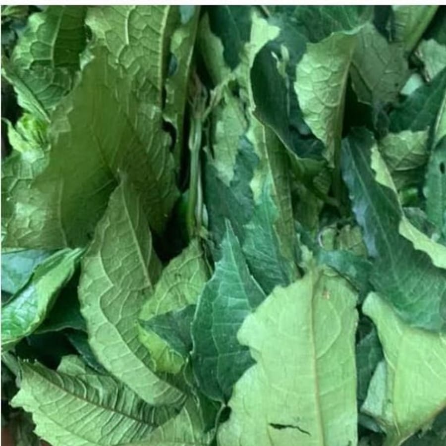 Fresh Leafy Vegetables