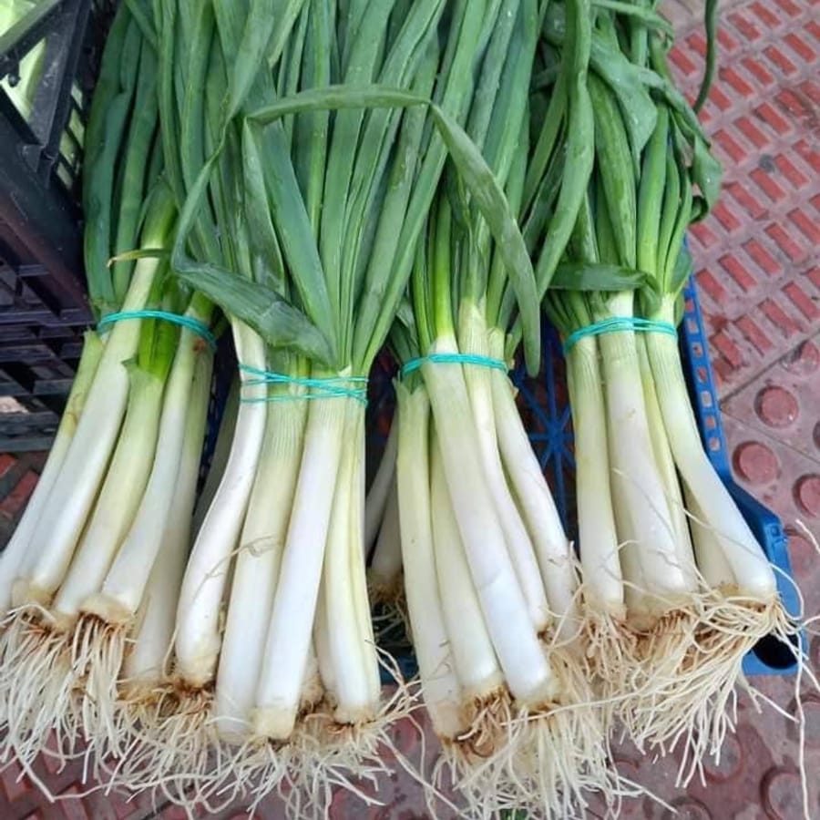 Spring Onions