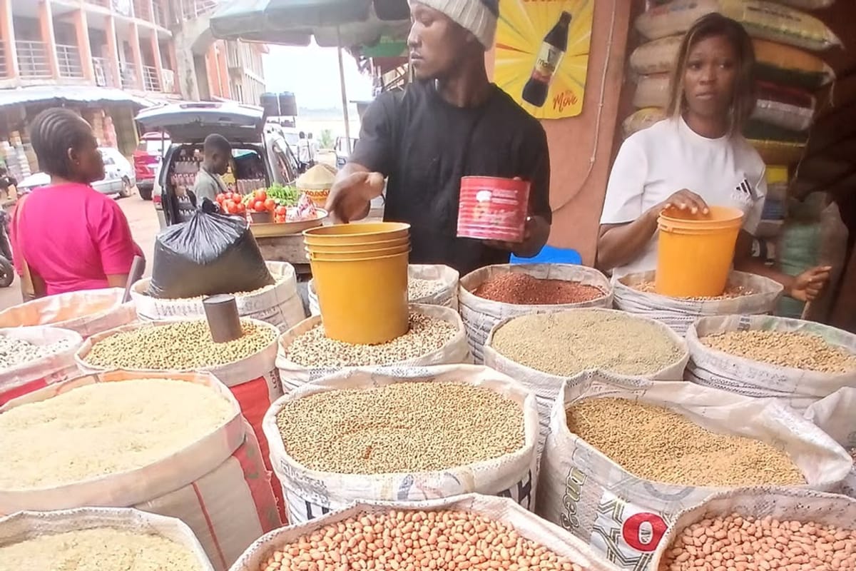 Basins of assorted grains and beans